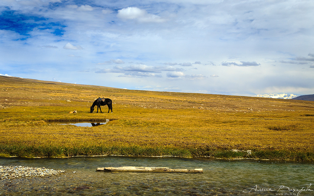 Долина Арабель, Кыргызстан, Иссык-кульская область