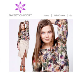 Разработка дизайна сайта для компании Sweet Chicory