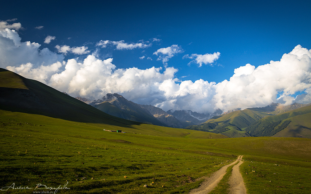 Джайлоо за Семеновским ущельем, Кыргызстан, Иссык-кульская область