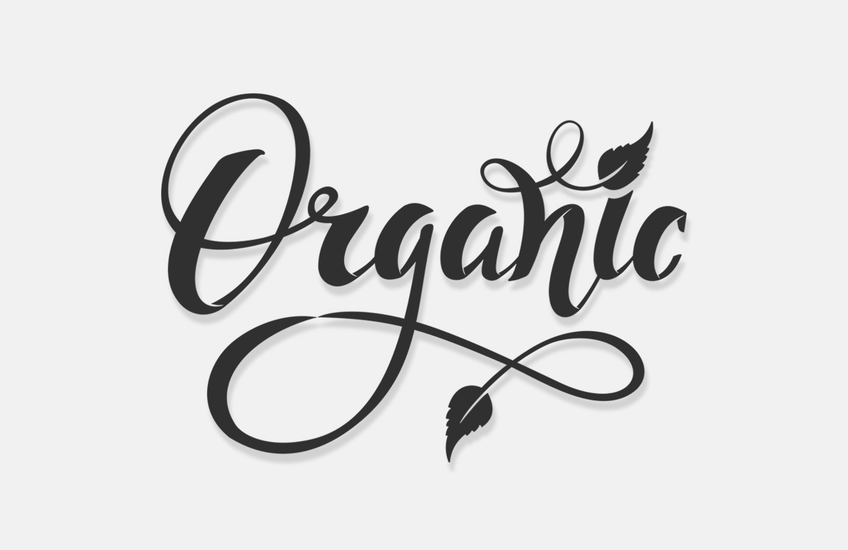  Разработка дизайна логотипа для производителя снековой продукции Organic