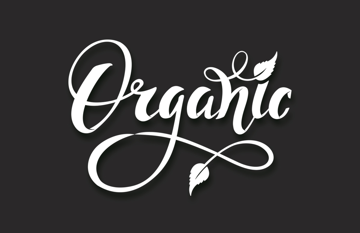  Разработка дизайна логотипа для производителя снековой продукции Organic