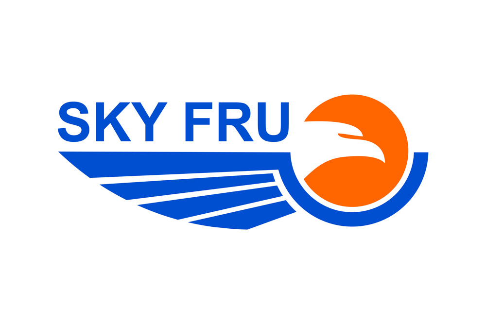 Airline logo