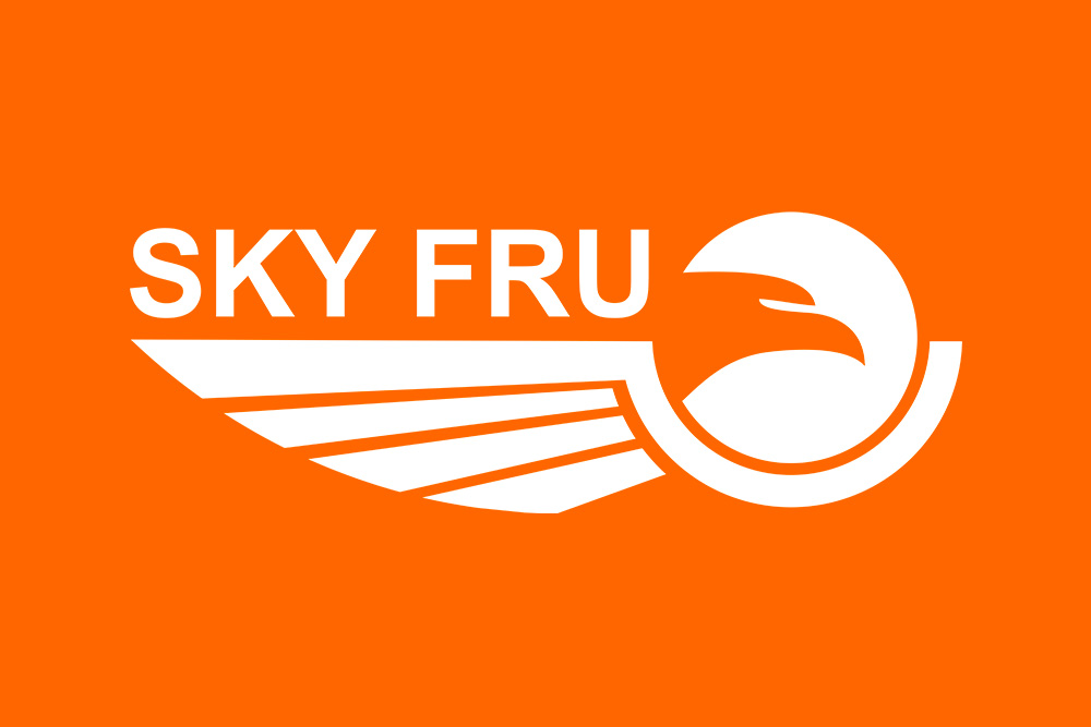 Airline logo